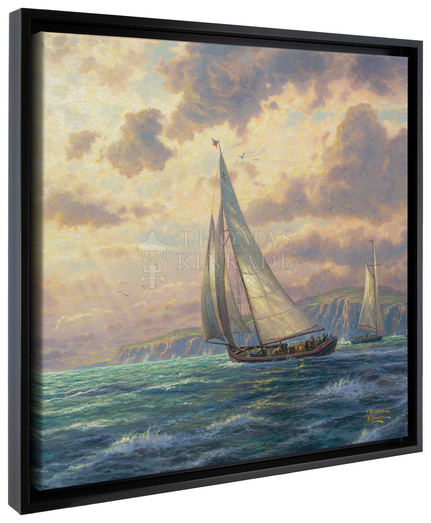 New Horizons - 20" x 20" Gallery Wrapped Canvas (Onyx Black Frame) - Image 2