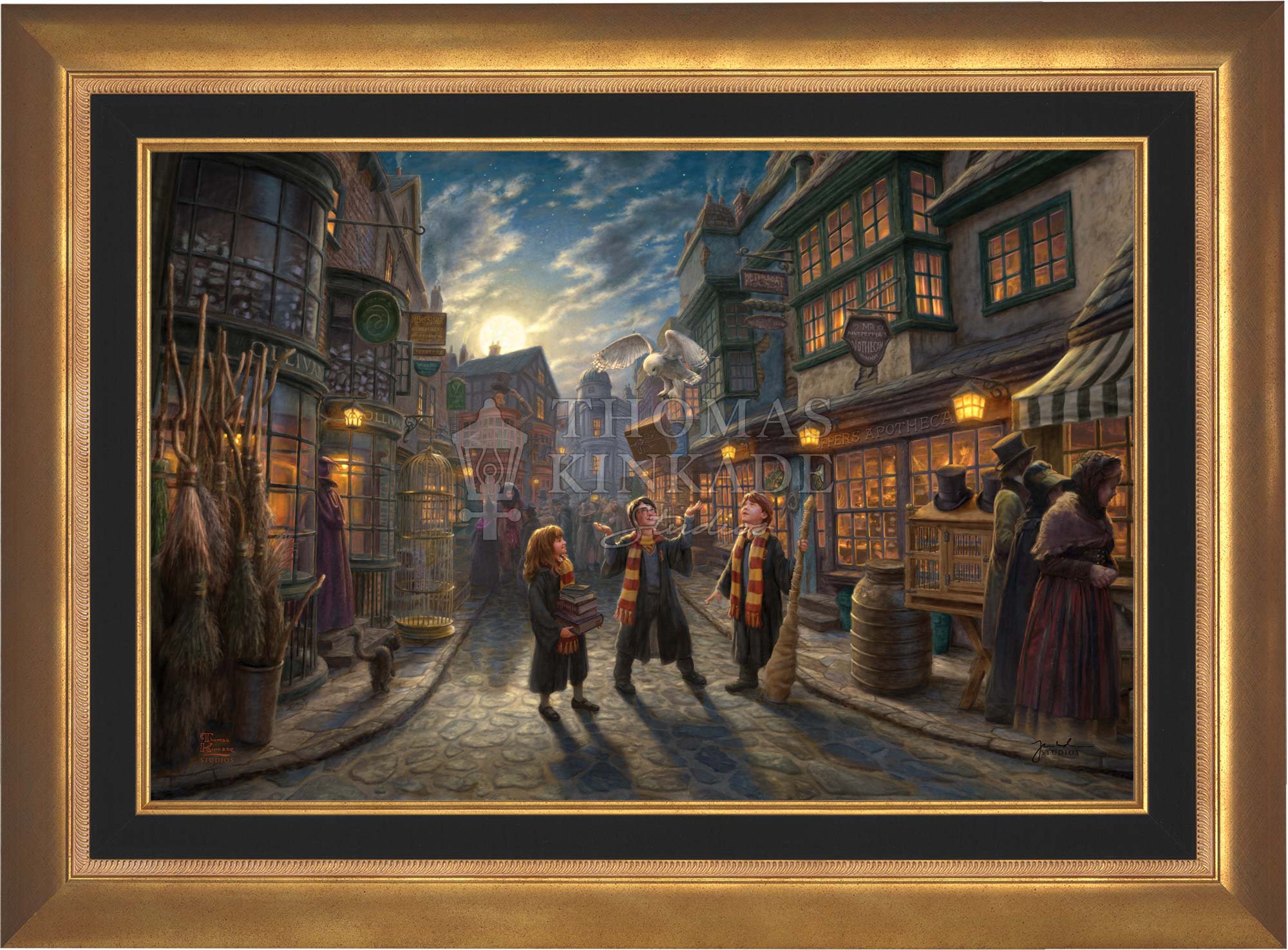 Harry Potter™ Diagon Alley™ - Limited Edition Canvas - Image 5