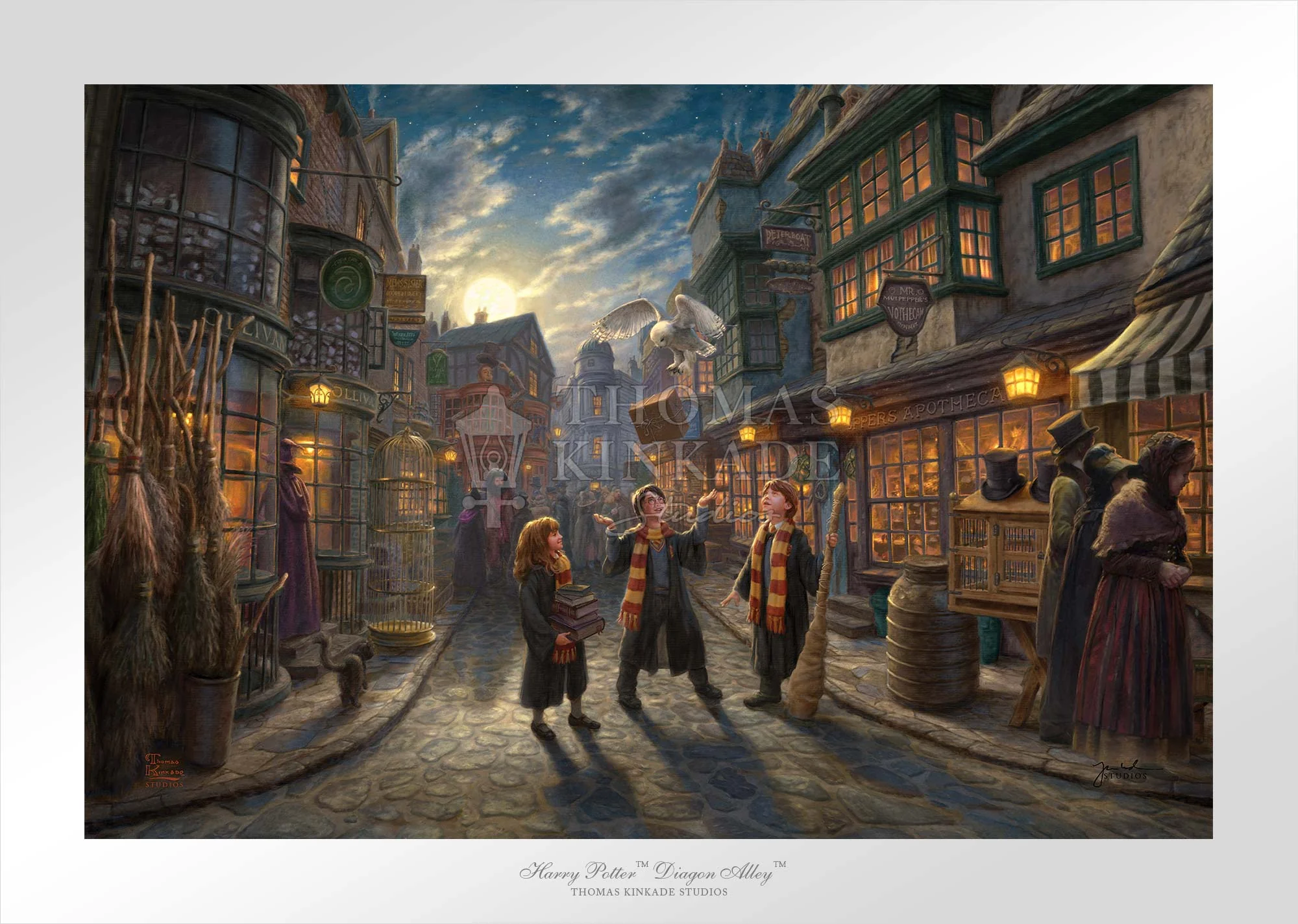 Harry Potter™ Diagon Alley™ - Limited Edition Paper - Image 2