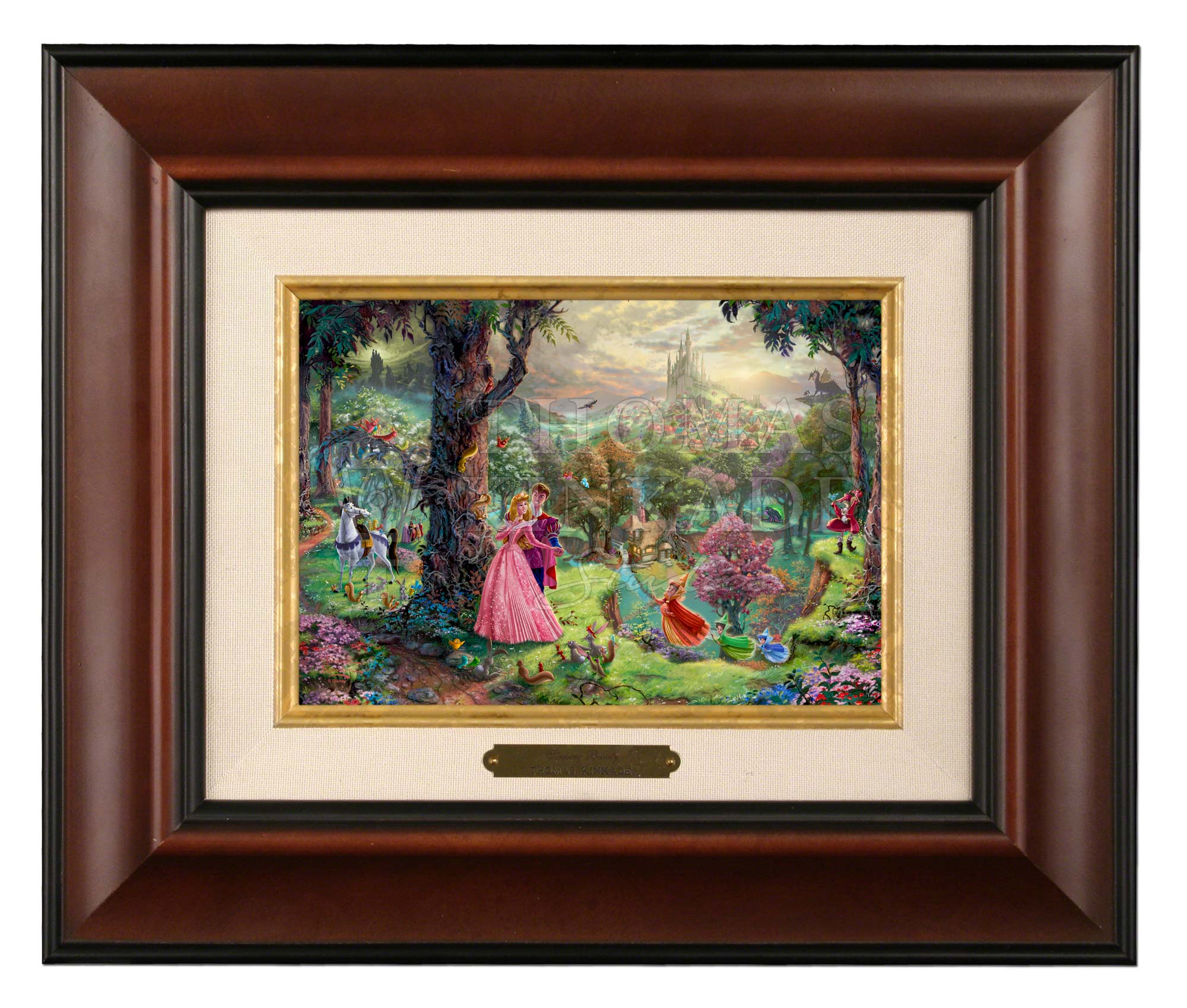 Disney Sleeping Beauty - Brushworks